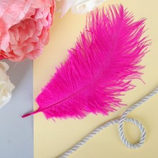 Feather for decor, size: 24 cm, fuchsia color