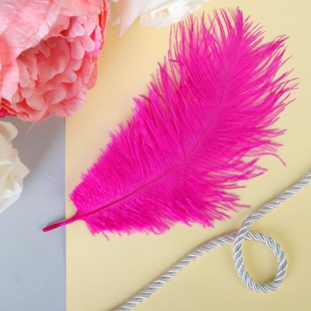 Feather for decor, size: 24 cm, fuchsia color