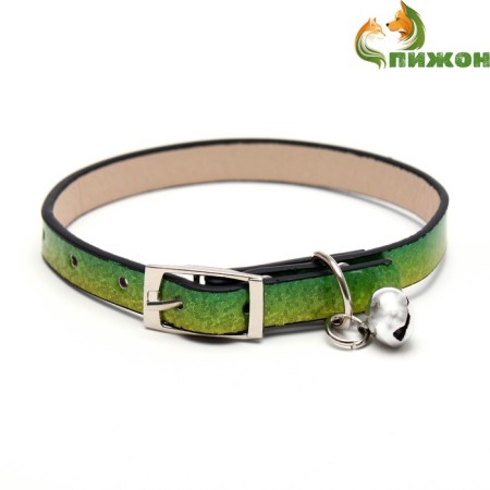 Rainbow varnish collar, 30 x 1 cm, red