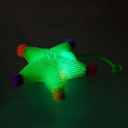 Anthistress Mick "Stars", Mix colors, in showbox-4