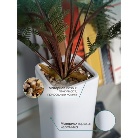 Fern in a ceramic pot, 110 × 110 × 930 mm, green / white color-2
