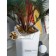 Fern in a ceramic pot, 110 × 110 × 930 mm, green / white color