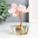 Souvenir "Cash tree in glass" 18 stones 8.5x5x5 cm