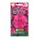 Jorgetta Petunia flowers, 10 pcs