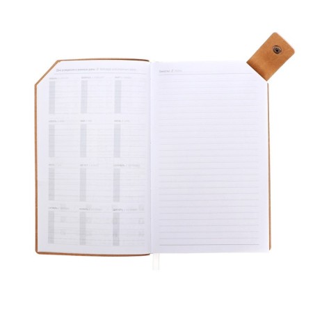 Lotted diary, 120x200 mm 128 sheets, leatherette, gray block 70 g/m2, lies, refuge with a colored button, beige-5