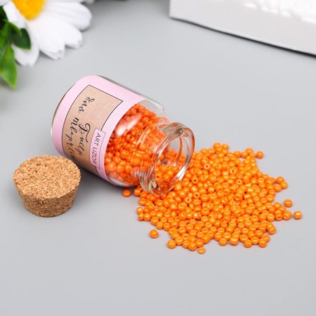 12/0 round beads in the bottle "Orange Orange" 20 g-1