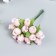 Flowers for decorating "Rose Blanca" light pink 1 bouquet = 12 colors 10 cm
