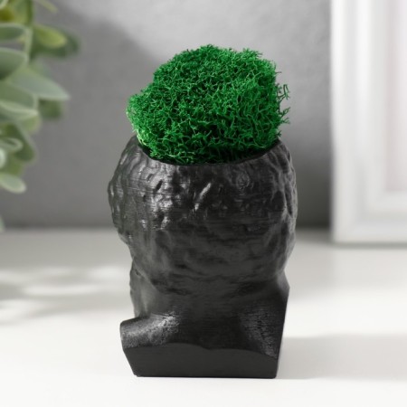 Concrete Kashpo "Prometheus" height 6.5 cm, width 5 cm black with moss (moss green. Stabil)-2