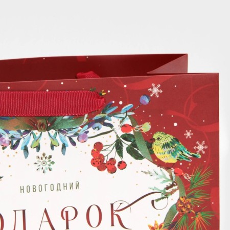 Laminated horizontal package “Frosted”, MS 18 x 23 x 10 cm, New Year-4
