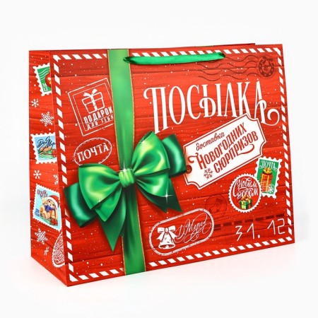 Package Gift New Year Laminated "New Year's Park", XL 49 x 40 x 19 cm, New Year