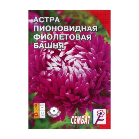 Flower seeds Astra Pionovid "Violet Tower", 0.2 g