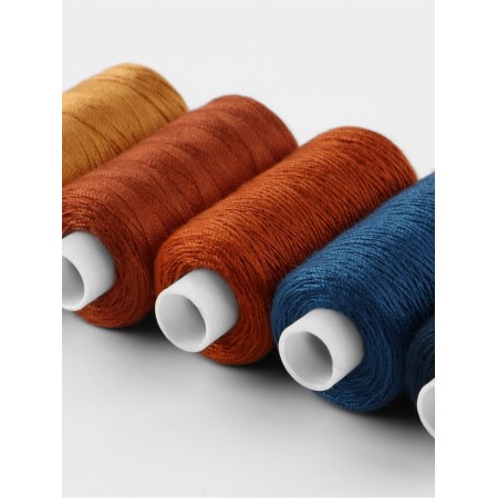 A set of thread jeans No. 2, 20/2, 200 m, 5 pcs, color colorful color-2