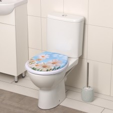 The toilet seat with the lid of the share 