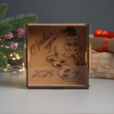 New Year's piggy bank with acrylic "Snake. New Year" 12x12x4 cm-1
