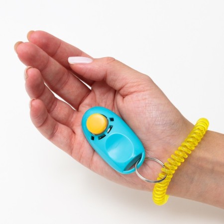 Clider for training dogs with a bracelet on the hand, blue-4