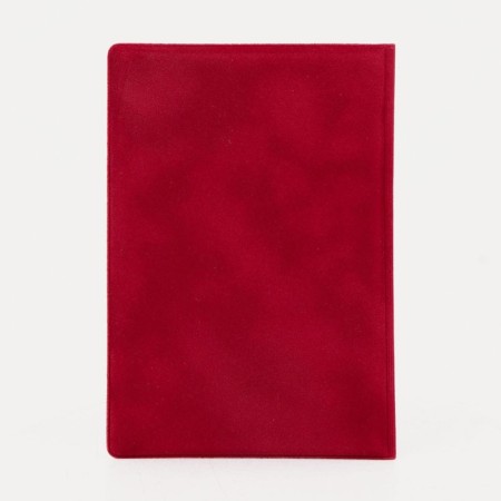 Cover for passport, red color-1