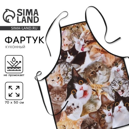 Apron kitchen "cats", full -color