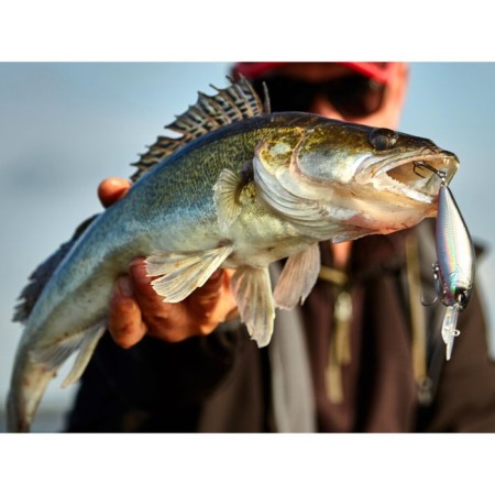 Floating wobbler LJ Original Shad = XDR F, 8 cm, color 003-3