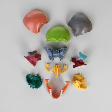 Mettle of the "Human Skull" multi -colored collapsible, 14*10*11cm-4