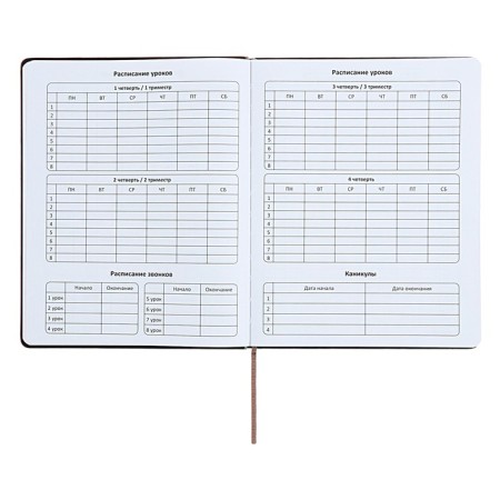 Universal diary for grades 1-11 "Geometry", solid cover of artificial leather, silkography, lies, 48 ​​sheets, brown-turquoise-5