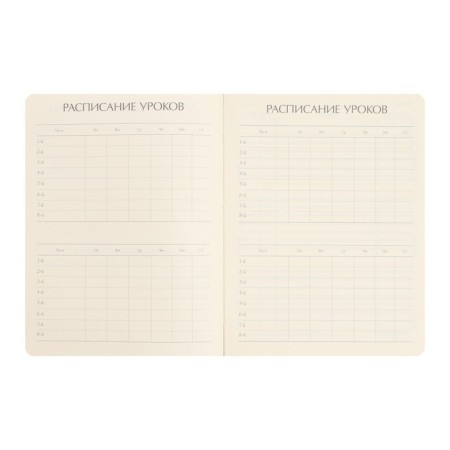 Universal diary for grades 1-11, 48 Urban sheets, artificial leather cover, pancake embossing, khaki-4