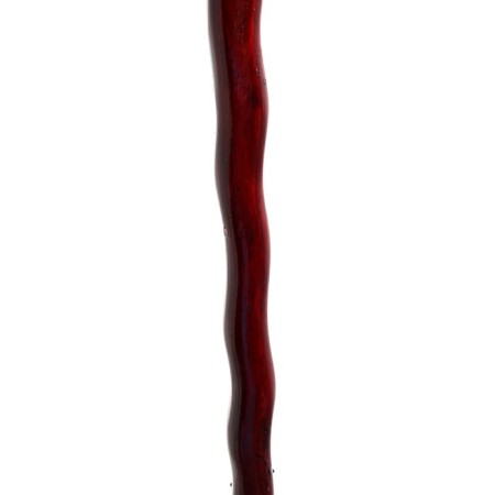 Souvenir cane 90cm, dragon hilt, dark-2
