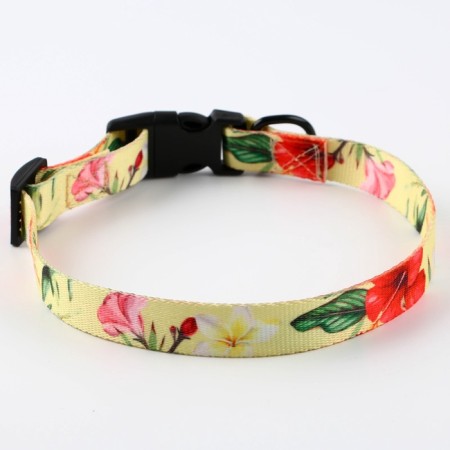 Set "Flowers", fastener - fastx, leash 2 m and collar 28-46 cm-4