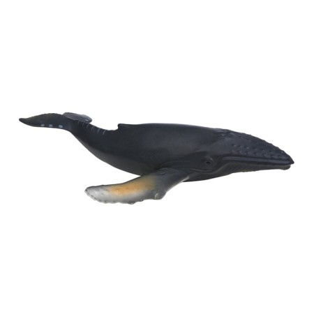 Figure "World of Marine Animals: Kit"-3