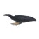 Figure "World of Marine Animals: Kit"