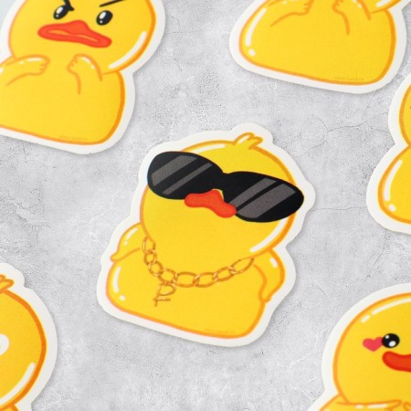Set of stickers "Ducks", 5 x 5 cm-2
