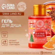 Shower gel, 100 ml, aroma of apple mulled wine, Ural Lab