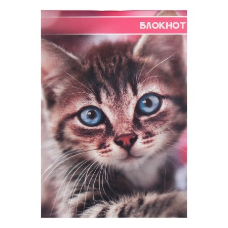 A set of notebooks A6, 40 sheets in a cage on a clip "kittens and puppies", covering a shared cardboard, an offset unit, 4 pieces-3