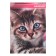 A set of notebooks A6, 40 sheets in a cage on a clip "kittens and puppies", covering a shared cardboard, an offset unit, 4 pieces