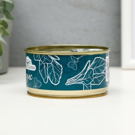 Growing gift Grass Raise at home on the balcony "Microside Radis"-1