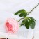Artificial flowers "lush peony" 7x47 cm, pink