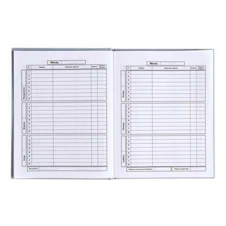 School diary for grades 1-11, "blue", covered paper cover, hard binding cardboard 7BC, matte lamination, universal cheat sheet, 48 sheets, block 65g/m2-6