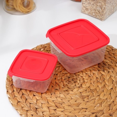 A set of food containers "Cascade", 2 pcs: 460 ml, 1 l, color mix-1