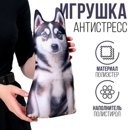 Antistress toy "Husky"