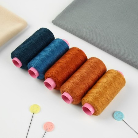 A set of thread jeans No. 2, 20/2, 200 m, 5 pcs, color colorful color