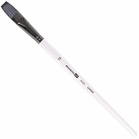 System of Synthetics 10 pieces, Brauberg Art Debut, in the PVC Penal-11