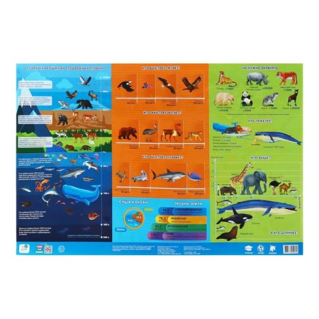Nast -sided bilateral map "Our planet. Animal and plant world", geod, 58x38 cm-2