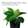 Pot for seedlings, for roses, 4 l, d = 18 cm, h = 21.5 cm, black, Greengo