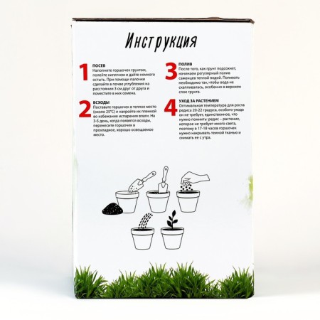 Set "Young Gardener" "Radis"-5
