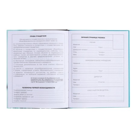 Diary for grades 5-11, hard cover, Future, glossy lamination, block 60g/m2-4