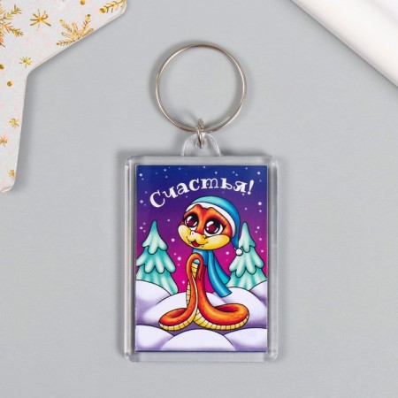 Trick "Housing" 3.5x5 cm-1