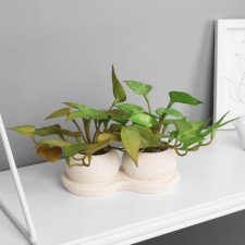Bonsai in the Pot 