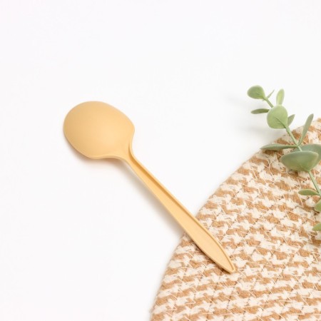 A disposable tablespoon “Bio Eco Standard S”, 14 × 3.5 cm, color mix-6