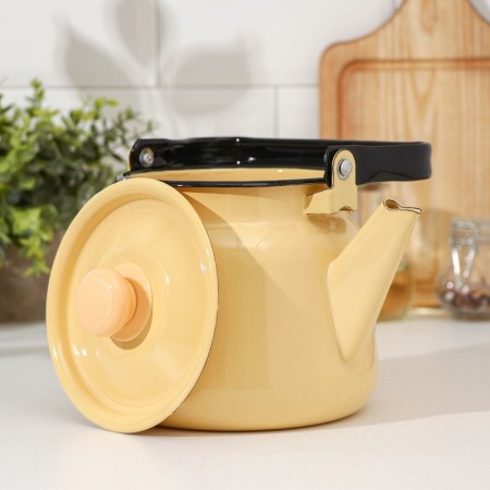 Kettle, 2.3 liters, induction, stealing color-1