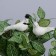 A set of birds for decor and floristry, on the clothespin, plastic, white, 2 pcs., 13 x 3 x 3 cm