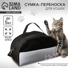 Bag - carrying 